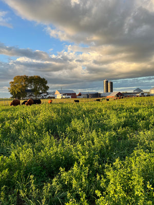Sickler's Circle View Farm